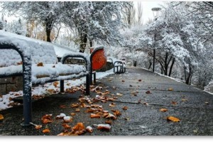 Yeni Bir Soğuk Hava Dalgası Geliyor